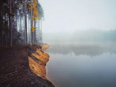 Речевая полянка\": \"Поздняя осень, грачи улетели...\"