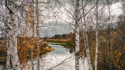 Поздняя осень в Кемерово
