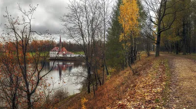 Осень Поздняя Парк - Бесплатное фото на Pixabay - Pixabay
