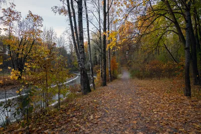 Поздняя осень. / фото