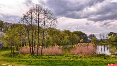поздняя весна на реке :: Флоуффлурр Рроуфф-Ниирсс – Социальная сеть ФотоКто
