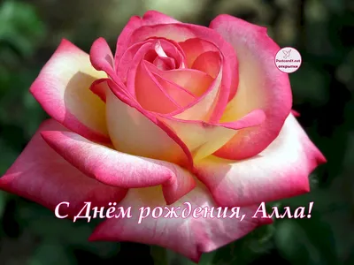Открытки и картинки С Днём Рождения, Алла Павловна!