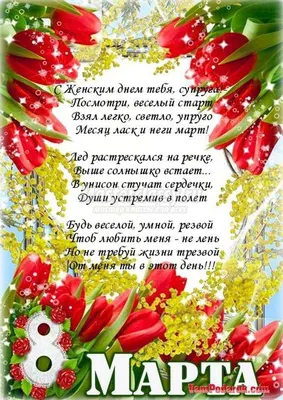 Владимир Волков поздравил женщин с 8 Марта | 08.03.2023 | Люберцы -  БезФормата
