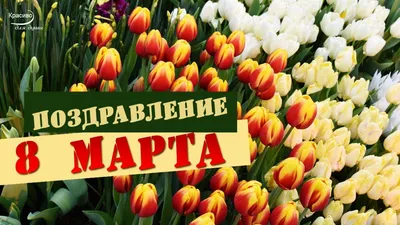 Красивые картинки на 8 Марта: фото цветов на любой вкус!