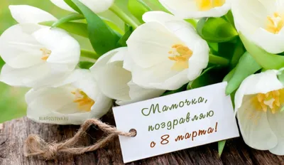 Поздравление с 8 марта картинки цветы фотографии