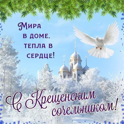 Рождество Христово 2022 - поздравления, картинки и открытки с праздником 25  декабря - Телеграф