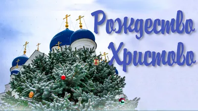 Пусть наступит мир в каждой семье: Зеленский поздравил украинцев с  Рождеством - «ФАКТЫ»