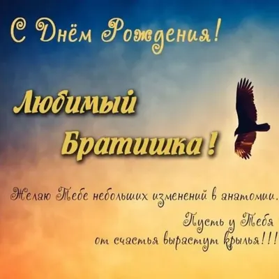 Смешные и прикольные поздравления с 23 февраля брату от сестры - лучшая  подборка открыток в разделе: Сестре на npf-rpf.ru