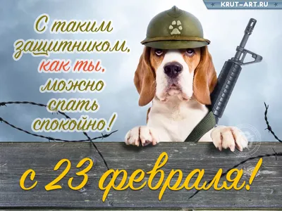 23 Февраля — Бесплатные открытки и анимация