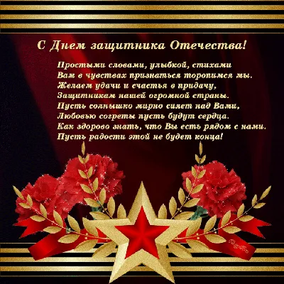 Александр Стариков: 23 февраля объединяет всех, кто оберегает покой страны  | 23.02.2018 | Тула - БезФормата