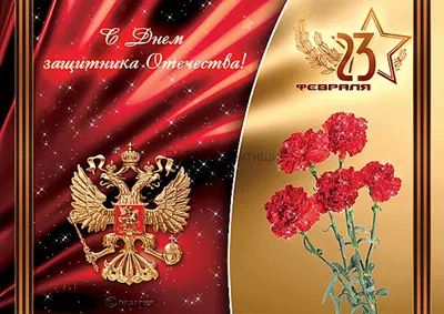С ДНЁМ ЗАЩИТНИКА ОТЕЧЕСТВА 23 ФЕВРАЛЯ, НОЧУ СОШ \"ИНТЕЛЛЕКТ\", Москва