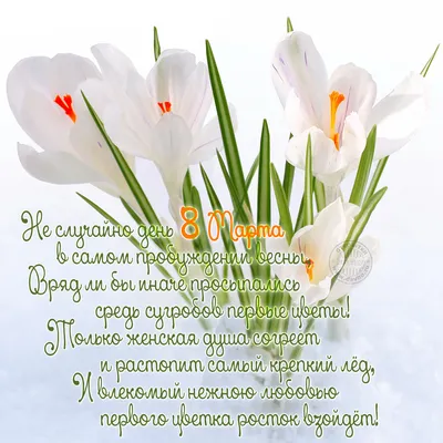 Поздравления с 8 марта: лучшие пожелания и яркие открытки - Завтра.UA
