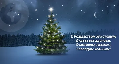 Поздравление с католическим Рождеством | Рождество, Открытки,  Рождественские поздравления