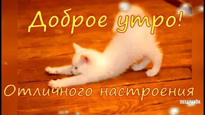 Открытки \"С добрым утром!\" (1216 шт.)