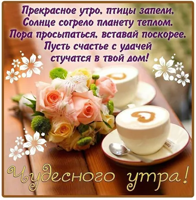 ПоздравОк, поздравления, открытки, стихи - С добрым утром ☕️😉 | Facebook