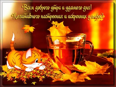 🍁 ⛅ ☕ Картинки С добрым осенним утром - скачать (240 шт.)