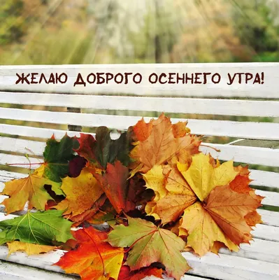 🍁 ⛅ ☕ Картинки С добрым осенним утром - скачать (240 шт.)