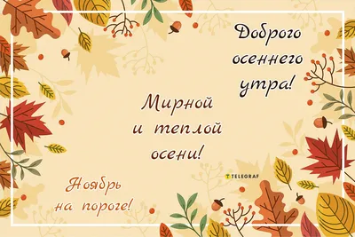 Добрые пожелания 💞 Открытки | 🍂 Доброго осеннего утра ☕ Хорошего удачного  дня 💕👍🍁 | Дзен