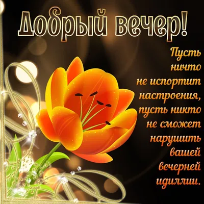 Скрипка, красивые розы и пожелание уютного вечера
