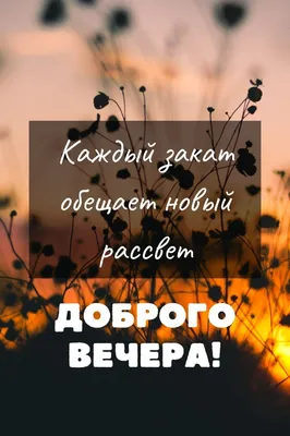 добрыйвечер #музыкальнаяоткрытка #пожелания #пожеланиядрузьям #доброг... |  TikTok