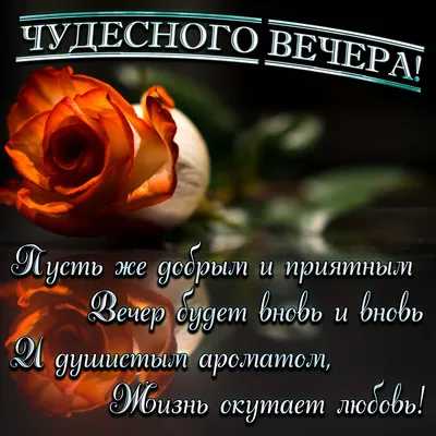 Картинки добрый вечер с цветами и пожеланиями хорошего настроения (59 фото)  » Картинки и статусы про окружающий мир вокруг