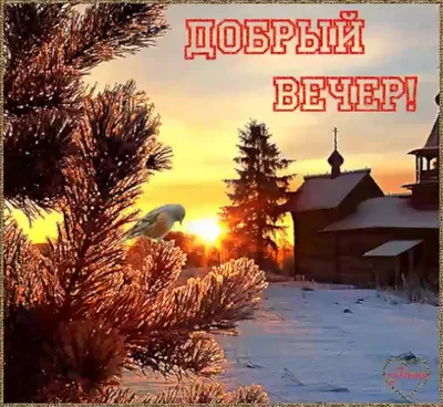 Пожелания на день и вечер - 75 фото