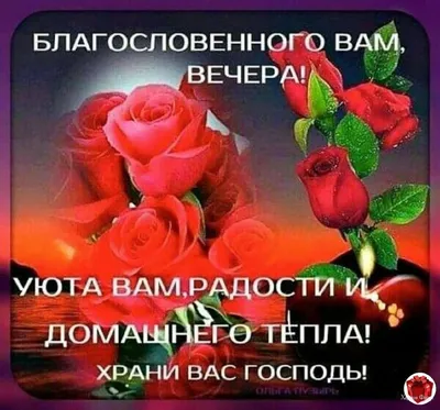 100 красивых пожеланий доброго вечера своими словами :: Инфониак