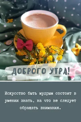 Красивые картинки Доброе утро ☀️☕ (618 шт.)