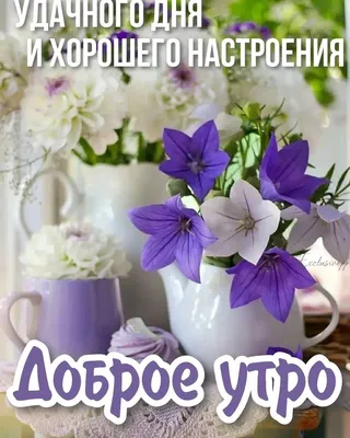 Картинки с добрым утром с пожеланиями. 😊 (125 шт.) | Доброе утро, Смешные  поздравительные открытки, Винтажные чаепития