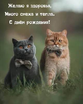 Красивые открытки \"С Днем Рождения!\" бесплатно (100+)