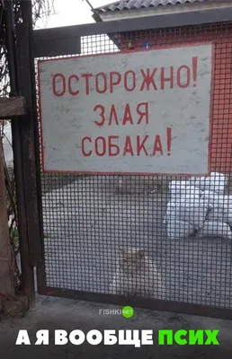 Смешные, позитивные и прикольные картинки в пятницу