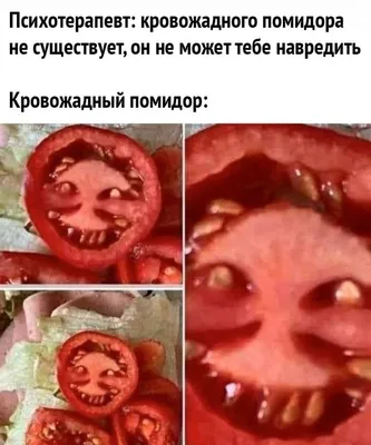 Пингвин-киношник | про позитивное мышление #мышление #юмор #приколы | Дзен