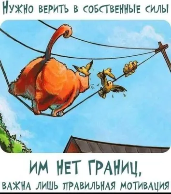 Позитивные и смешные картинки