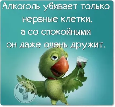 ДОБРОЕ УТРО ДРУЗЬЯ ЮМОРА И... - Позитив Юмора и Природы | Facebook