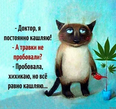 Добрейшего утра! Позитивного дня 😜😊🤗🌞🌞🌞🌈☕ #доброеутро #настроение  #позитив #gudmorning #мантра #аффирмации #юмор #кофе #завтрак | Instagram