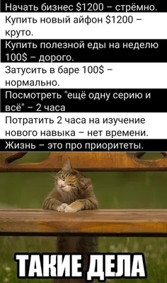 Новые позитивные картинки с юмором для поднятия настроения со смыслом (45  фото) » Юмор, позитив и много смешных картинок