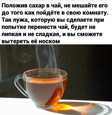 😂 Сохраняем позитивный настрой! Повышаем юмором иммунитет👌🏻😅 ⠀  #немногоюмора #шутка #прикол #юмор #позитив #улыбнись #смех  #будьнапозитиве… | Instagram