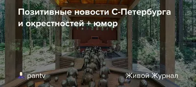 Открытки позитивные с юмором - 53 фото