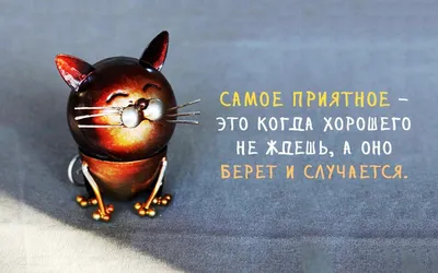 Позитивный заряд: смешные картинки для поднятия настроения | Юмор 24 на 7 |  Дзен