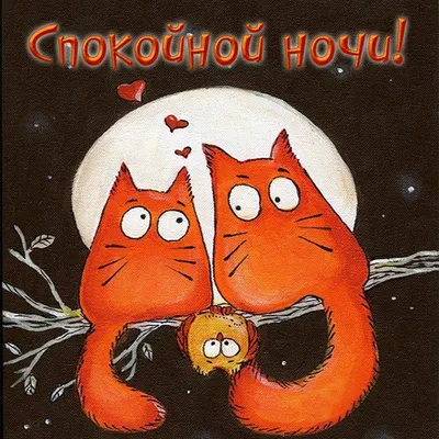 Спокойной ночи картинки - как пожелать сладких снов — УНИАН