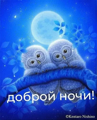 Прикольные картинки Спокойной ночи! - скачать бесплатно (57 шт.)
