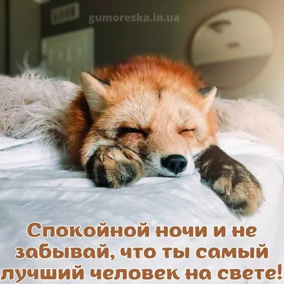 Доброй ночи картинки красивые