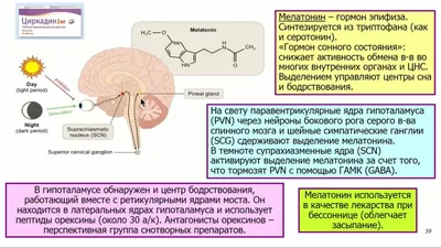 Какие позы во сне могут навредить здоровью » BigPicture.ru