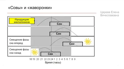 Позы для сна и их значение. | Рушель Блаво | Дзен