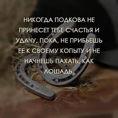 Кирилл Вишневский. Жёсткая правда жизни | AliExpress