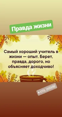 Тетрадь BG Правда жизни Литература, 40л ТП5ск40 12202 – купить онлайн,  каталог товаров с ценами интернет-магазина Лента | Москва, Санкт-Петербург,  Россия