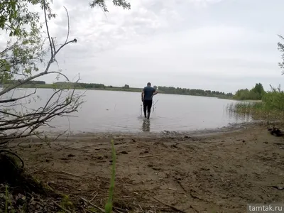 Пос. Новый Мир, Правдинское водохранилище — 2ГИС