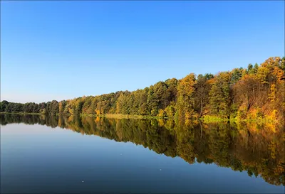 Пос. Новый Мир, Правдинское водохранилище — 2ГИС