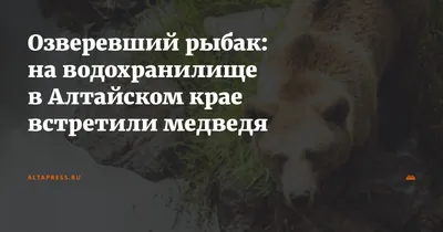 Отчет о рыбалке: Правдинское водохранилище — Правдинский муниципальный  округ — Северо-Западный федеральный округ, Калининградская область — №  48938 — fishing-report.ru