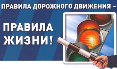 Наклейка \"Правила кухни\" темная А4 купить оптом и в розницу по цене 80 руб.  - Наклейки - ArtoToys.RU|интернет-магазин